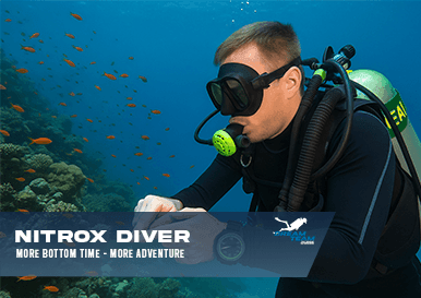 PADI Nitrox Diver Course