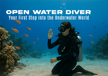 PADI Open Water Diver Course