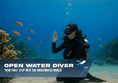 PADI Open Water Diver Course