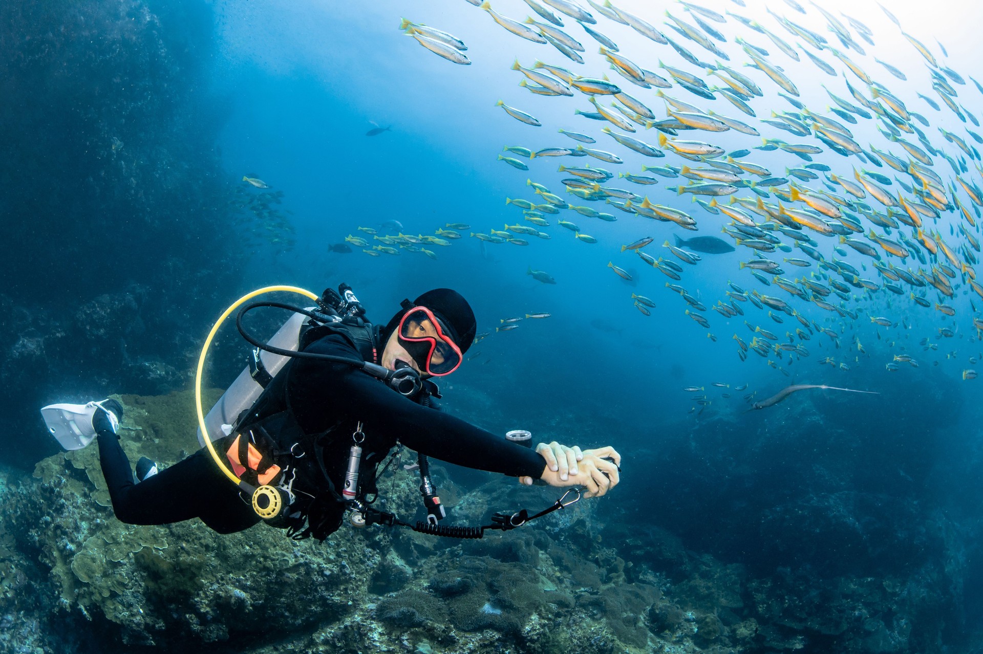 Male scuba diver swimming with a school of fish at Richelieu Rock, one of the popular dive sites of Andaman sea. Scuba diving experience in Thailand